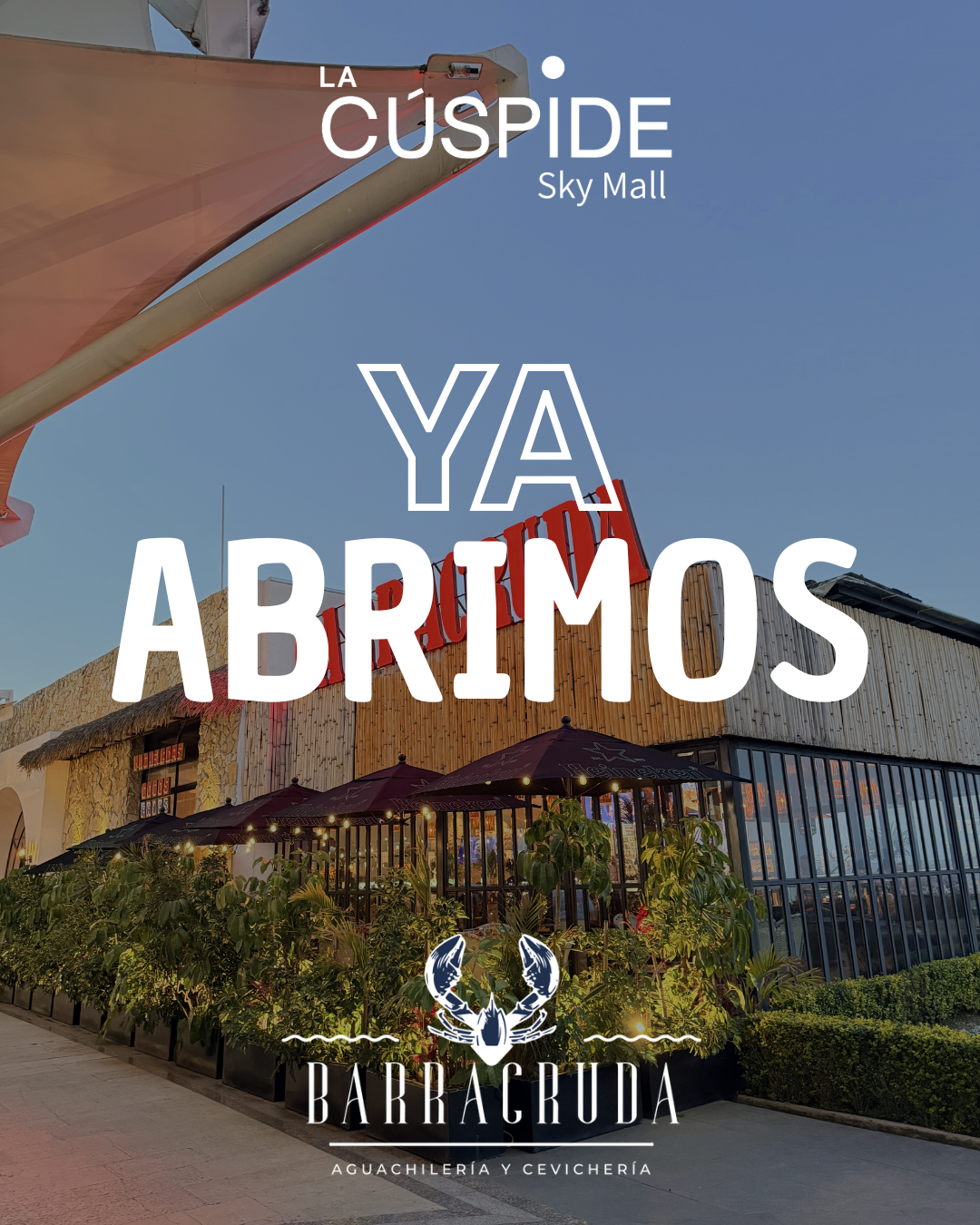 Cúspide