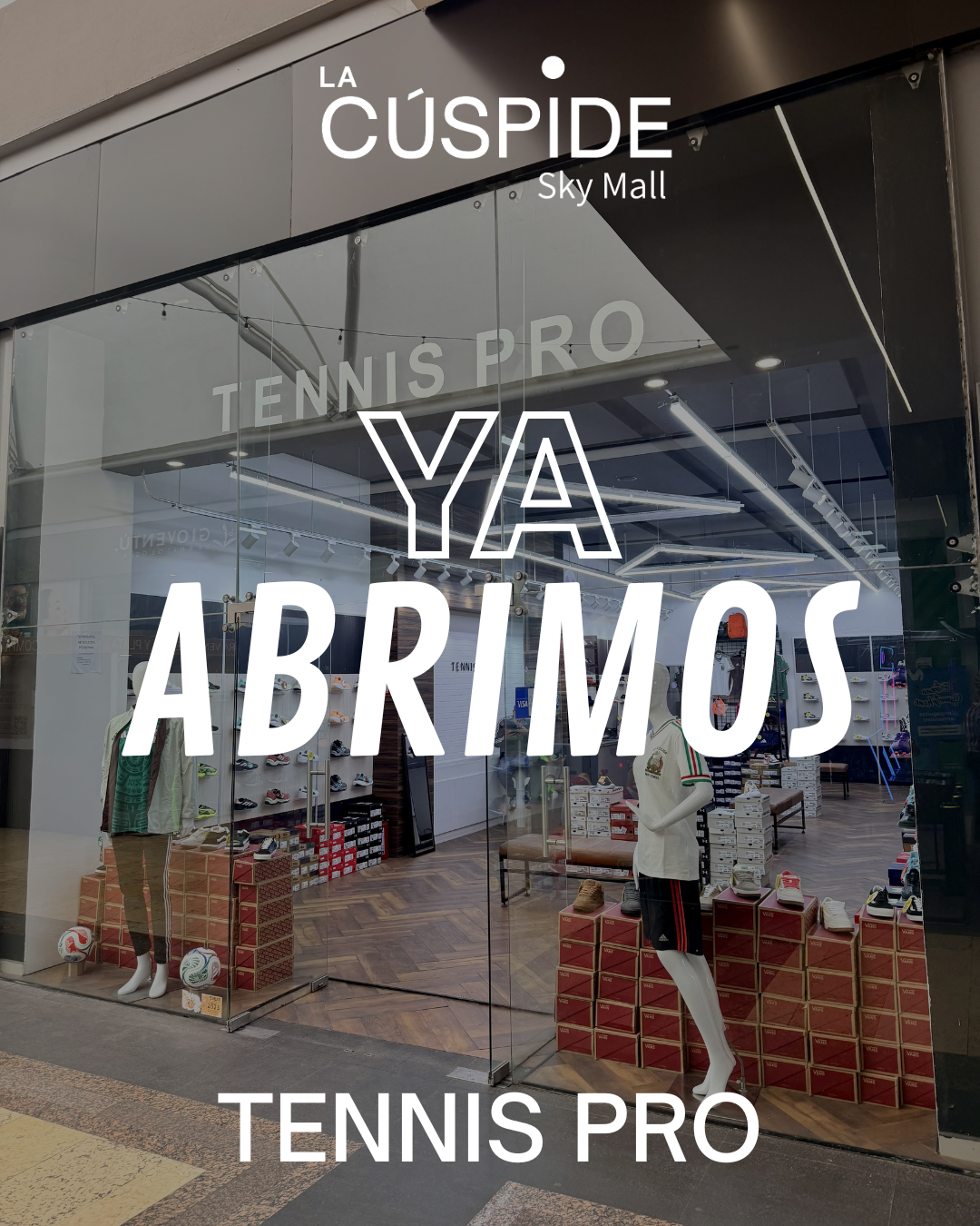 Cúspide