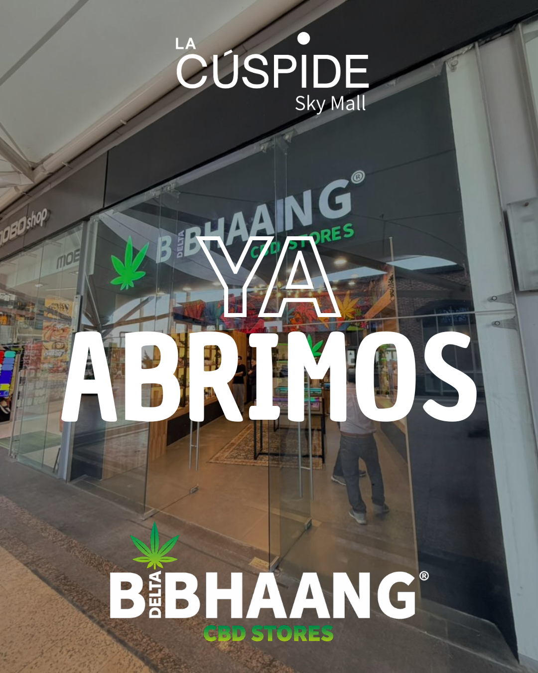 Cúspide