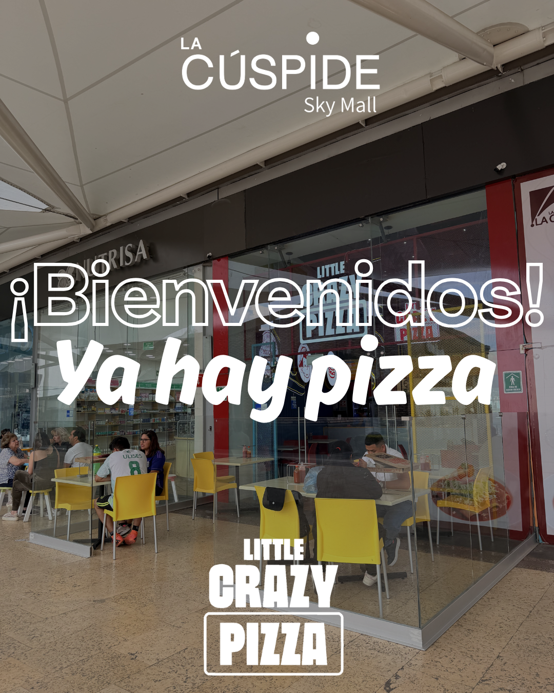 Cúspide